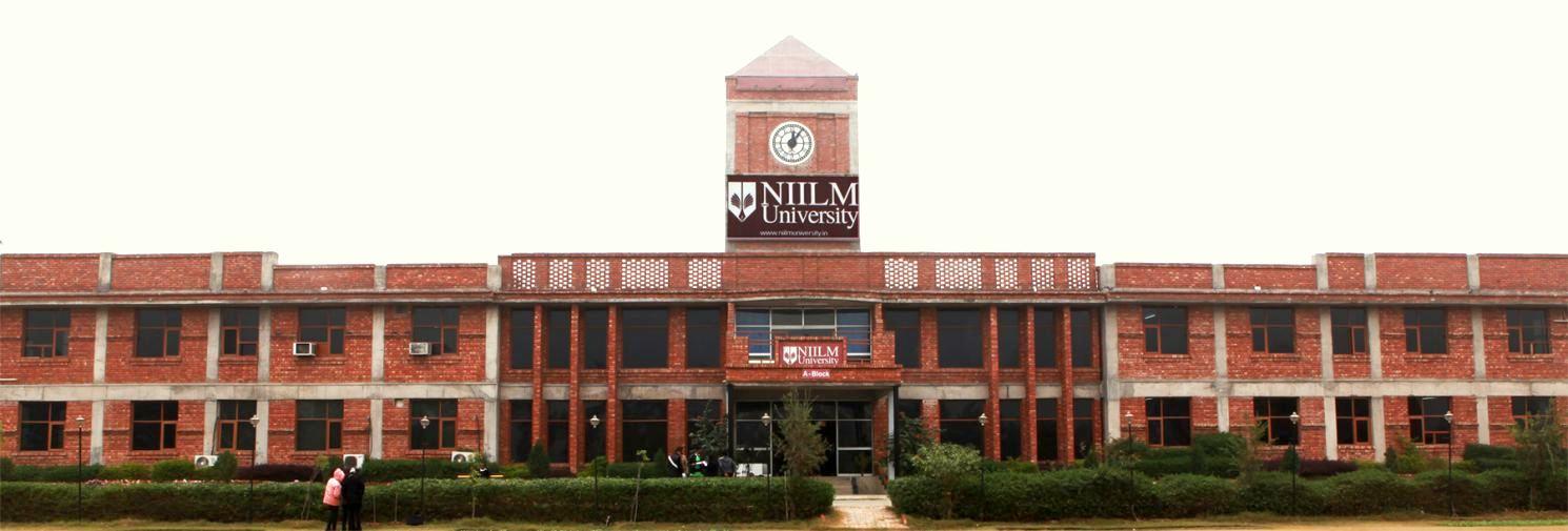 NIILM University Engineering